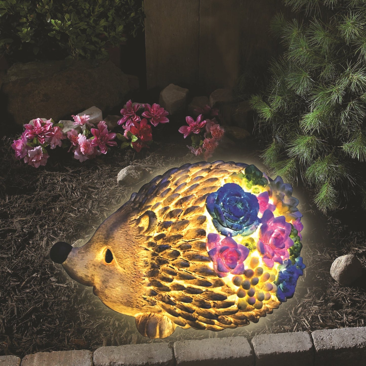 Succulent Hedgehog Solar Lawn Light